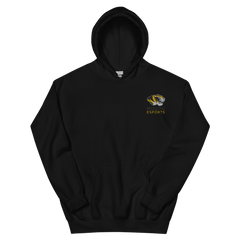 Mizzou Esports | On Demand | Embroidered Unisex Hoodie