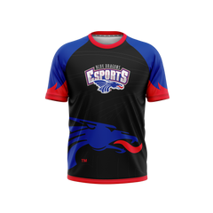 Hutchinson Esports | Phantom Series | Raglan T-Shirt Alt