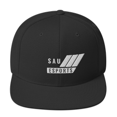 Saint Ambrose Esports | Street Gear | Embroidered Snapback Hat