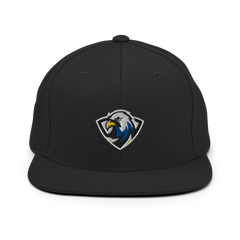 ERAU Esports | On Demand | Embroidered Snapback Hat