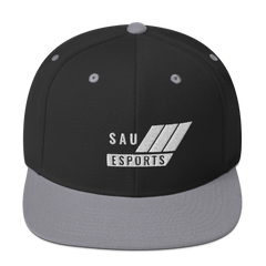 Saint Ambrose Esports | Street Gear | Embroidered Snapback Hat