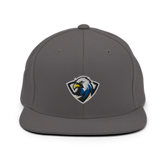 ERAU Esports | On Demand | Embroidered Snapback Hat