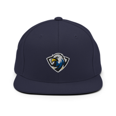 ERAU Esports | On Demand | Embroidered Snapback Hat