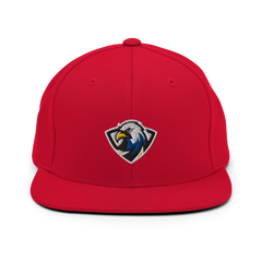 ERAU Esports | On Demand | Embroidered Snapback Hat