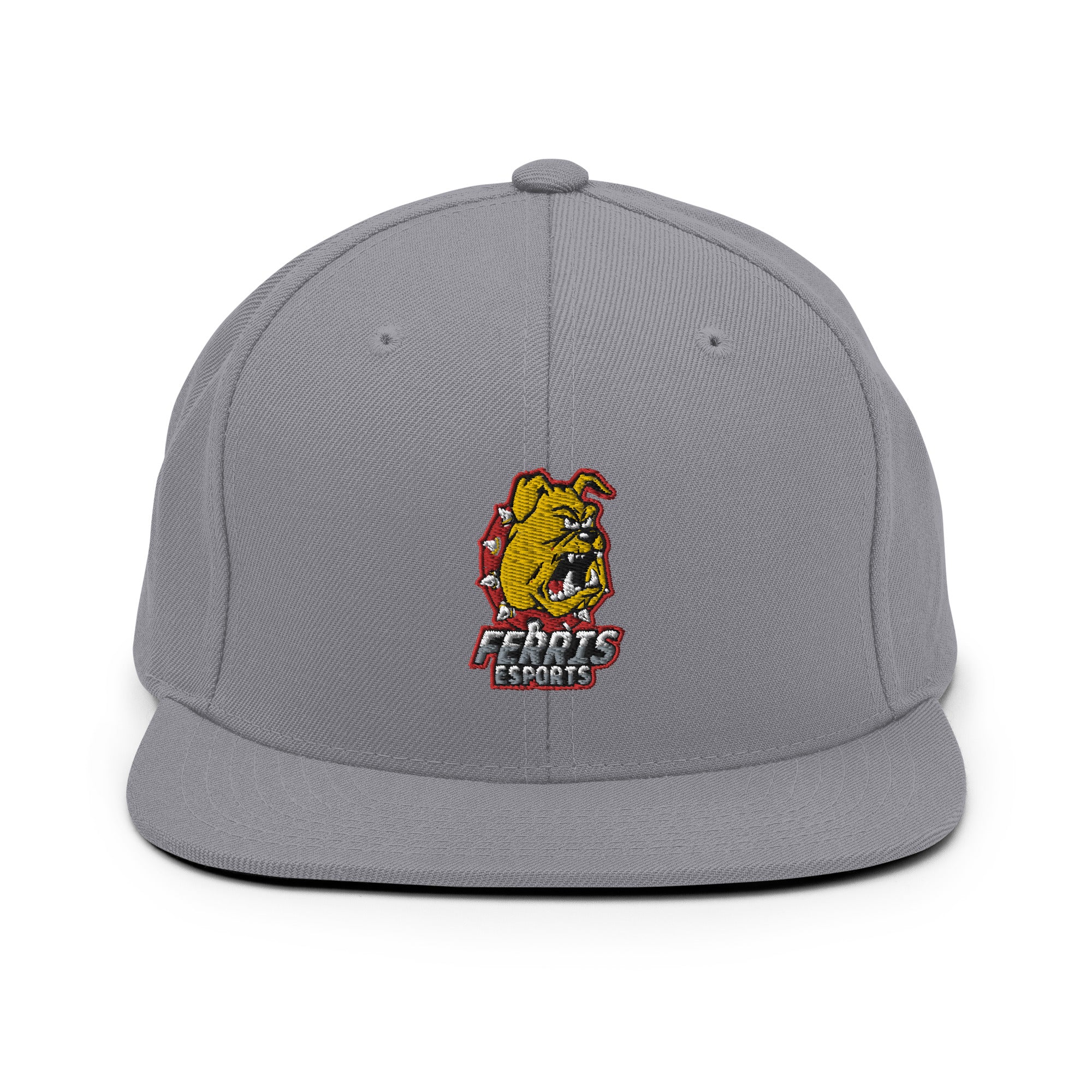 Ferris State Esports | On Demand | Embroidered Snapback Hat