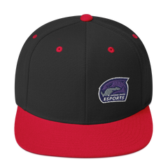 Esports Club at Kansas State University | Street Gear | Snapback Hat